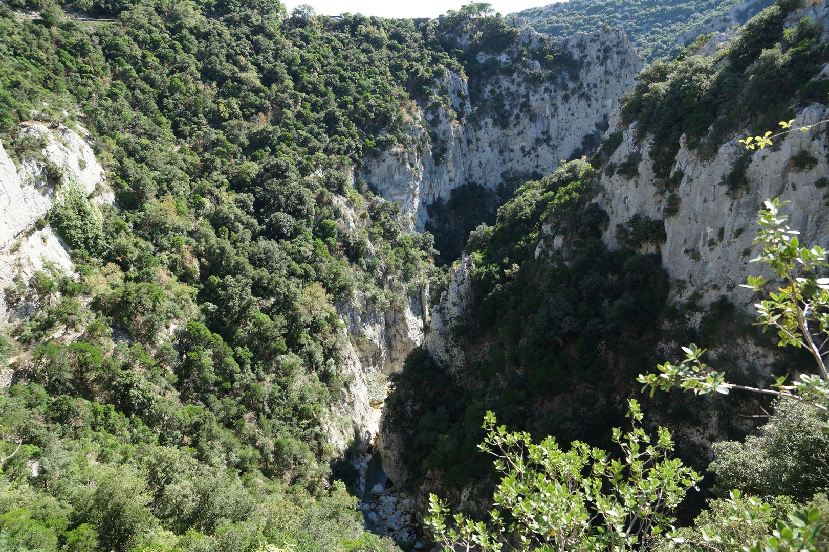 Les gorges de Galamus