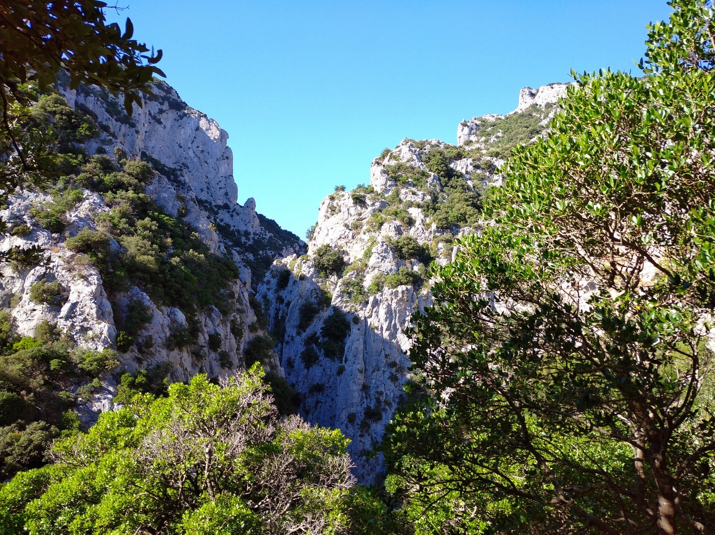 Les gorges de Galamus