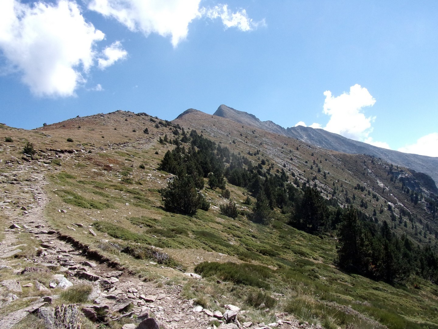 Le Canigou