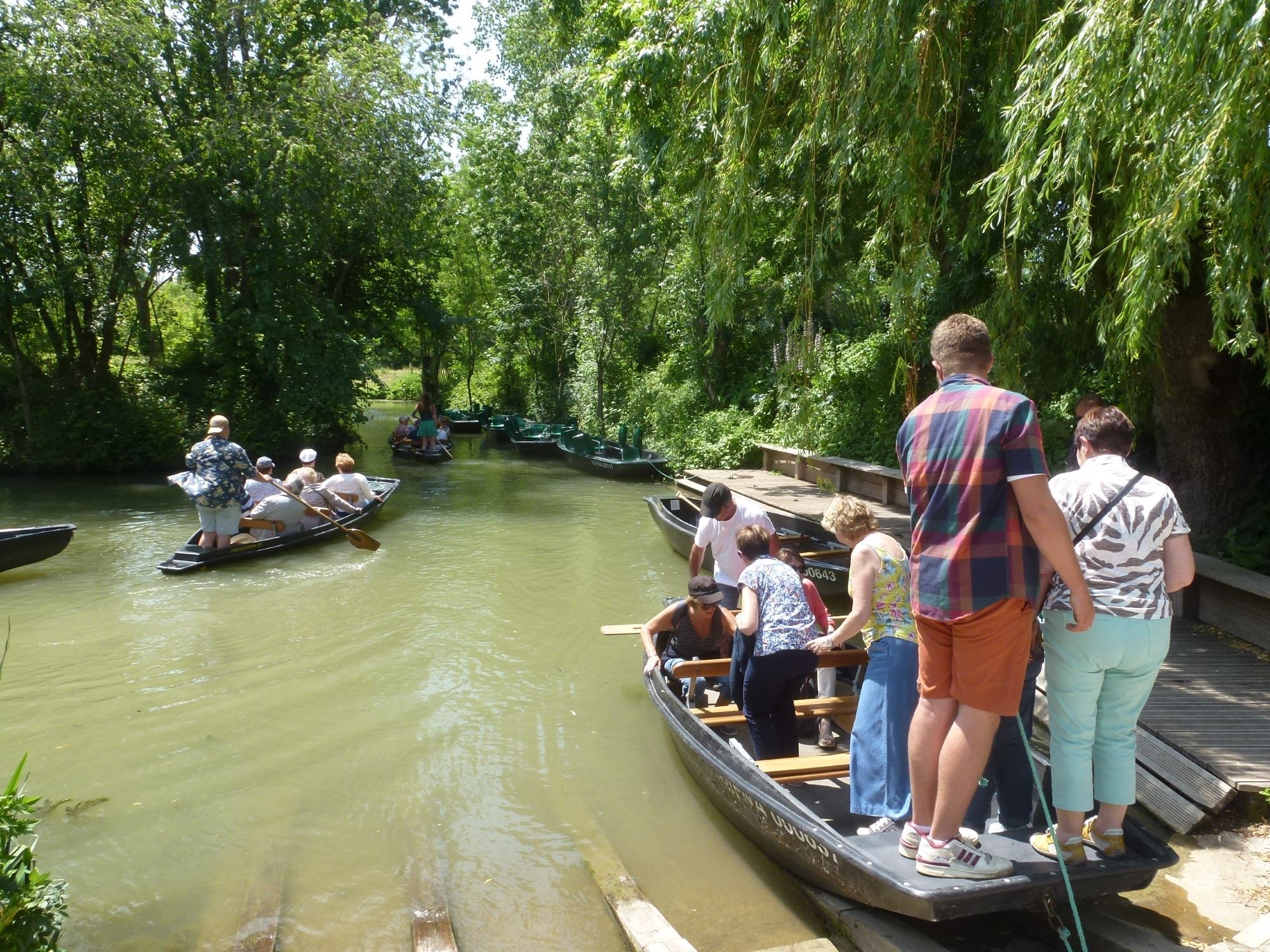 Venise verte 02