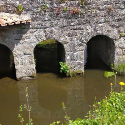 Le lavoir de mallievre