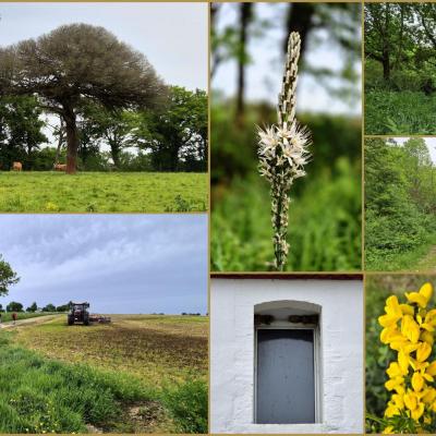 Saint avaugourd des landes 02 05